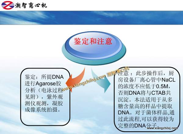 用高速離心機(jī)提取細(xì)菌DNA的課件